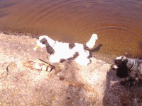 /album/patu/whoo13-303-jpg/